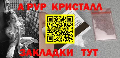 сатива Славгород