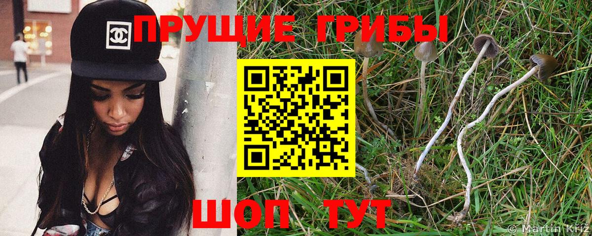 Фролово  Галлюциногенные грибы MAGIC MUSHROOMS  Галлюциногенные грибы мицелий  Вход с VPN 