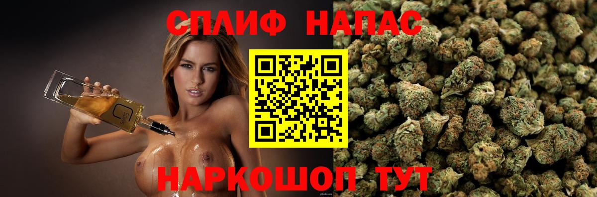 Конопля план  МАРИХУАНА планчик  Каннабис OG Kush  Фролово  Вход с VPN 